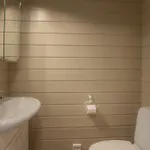 Bakkebyvegen 15a * Trysil
